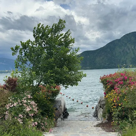 Vener Appartament - A Due Passi Dal *